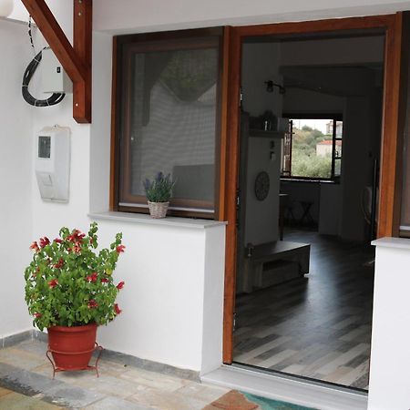 Villa Sofia Marathos  Zewnętrze zdjęcie