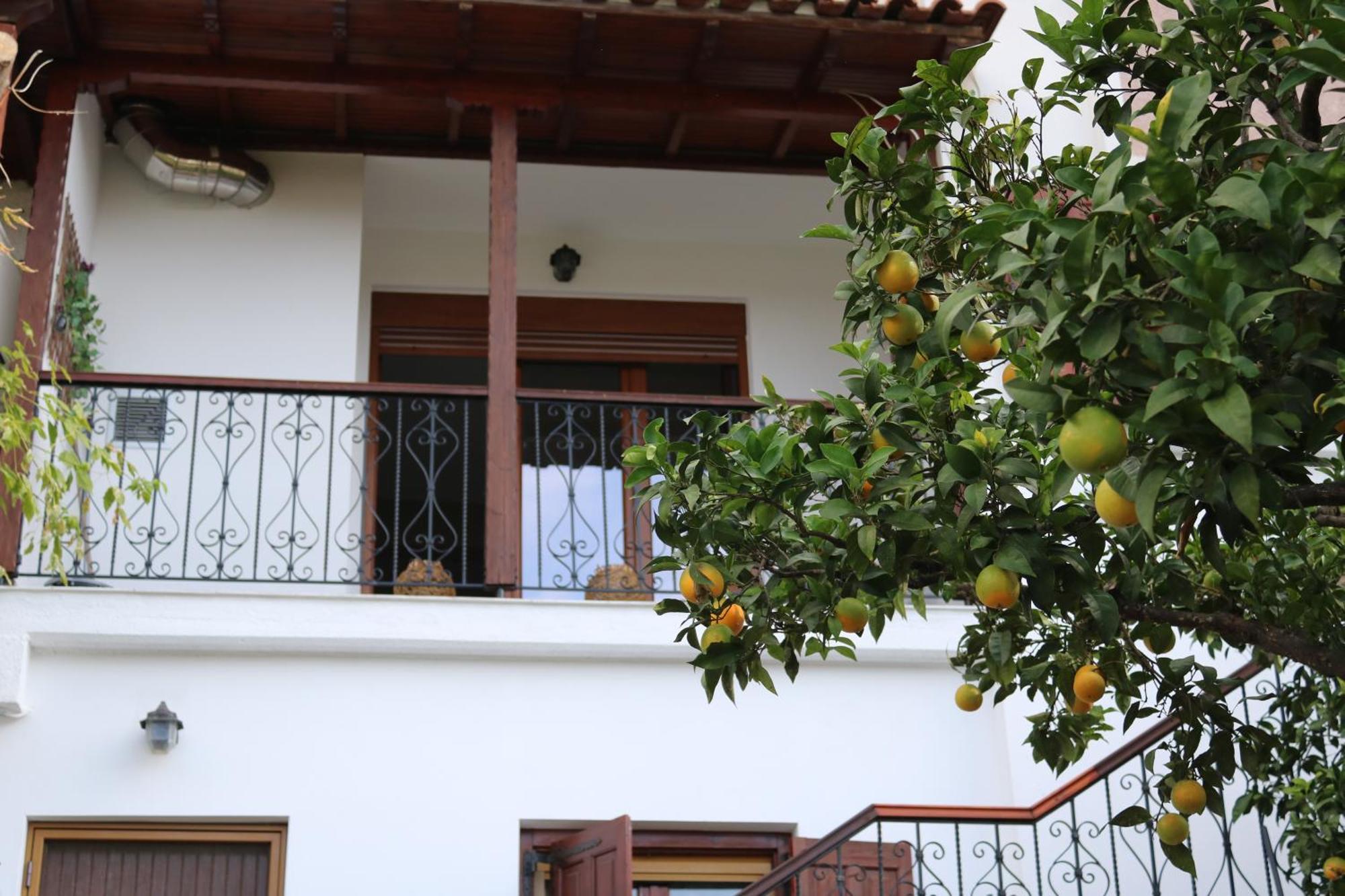 Villa Sofia Marathos  Pokój zdjęcie