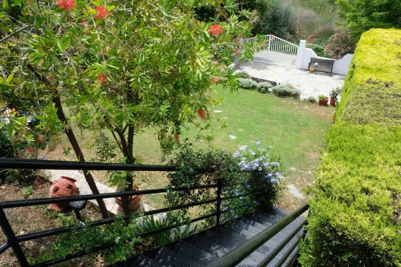 Villa Sofia Marathos  Zewnętrze zdjęcie