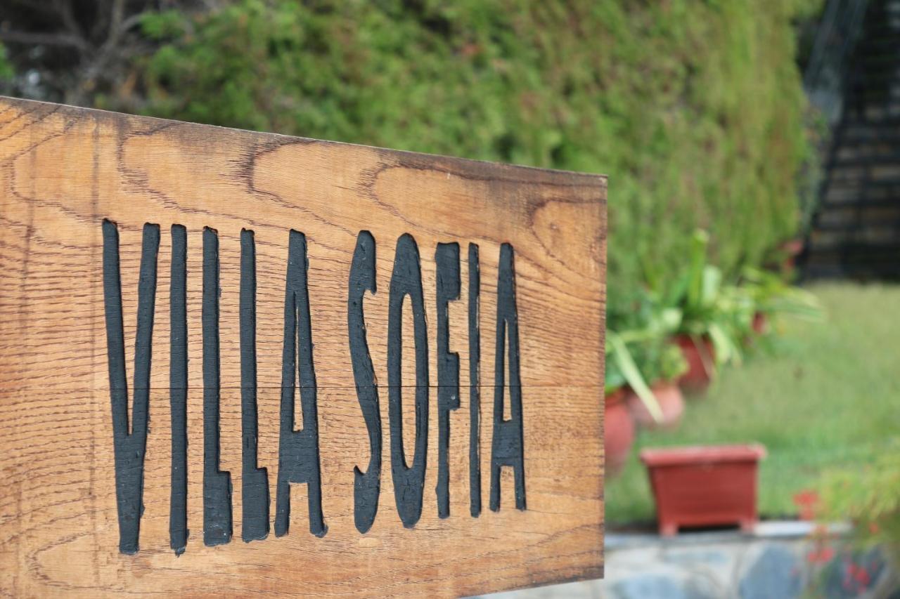 Villa Sofia Marathos  Zewnętrze zdjęcie