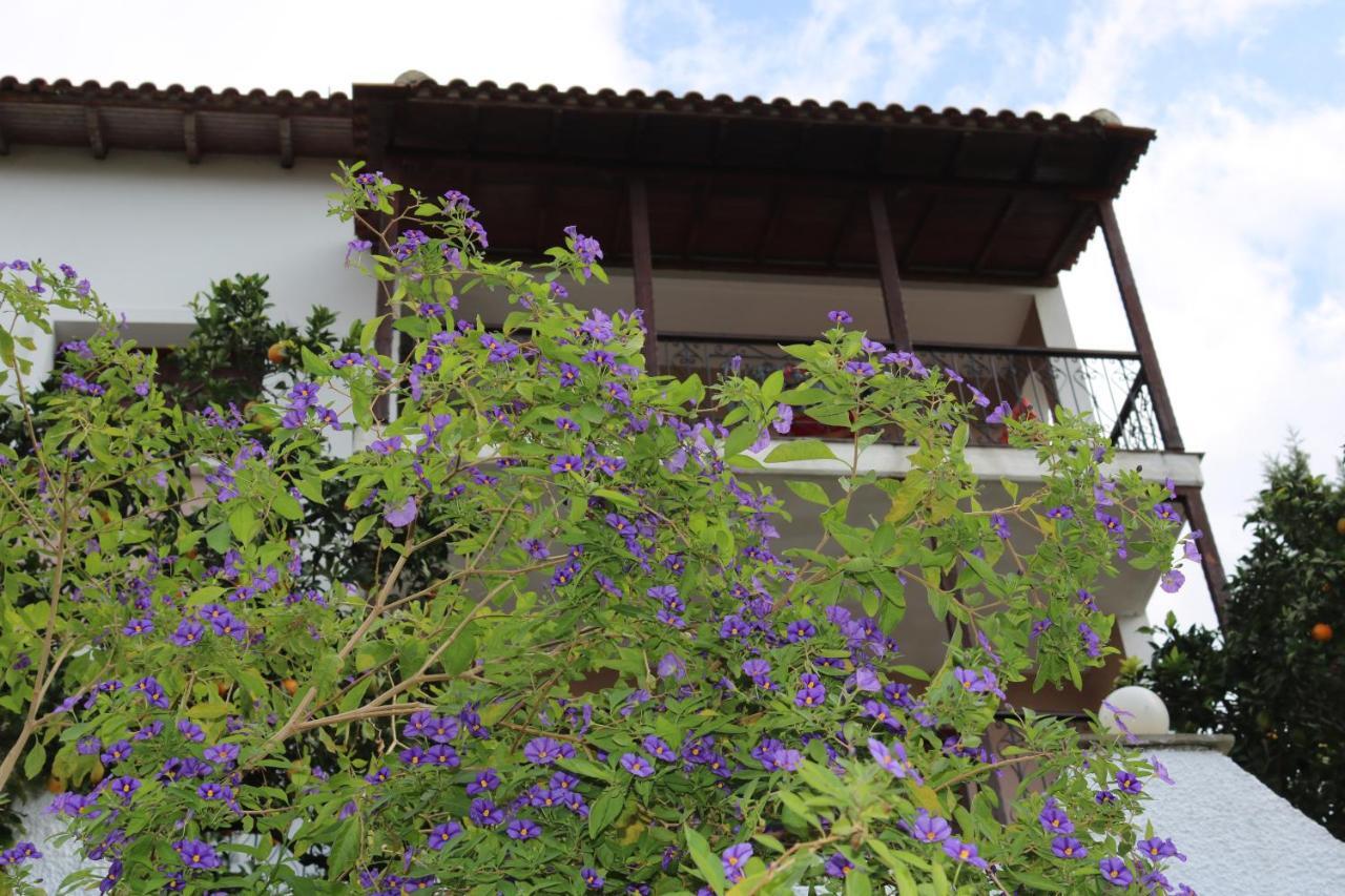 Villa Sofia Marathos  Zewnętrze zdjęcie